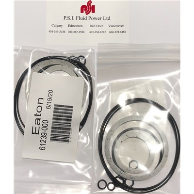 6K SEAL KIT BEARINGLESS (005/006)  (1)